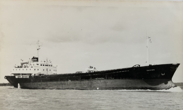 Gavion por L. Herbaut Gavion por L. Herbaut